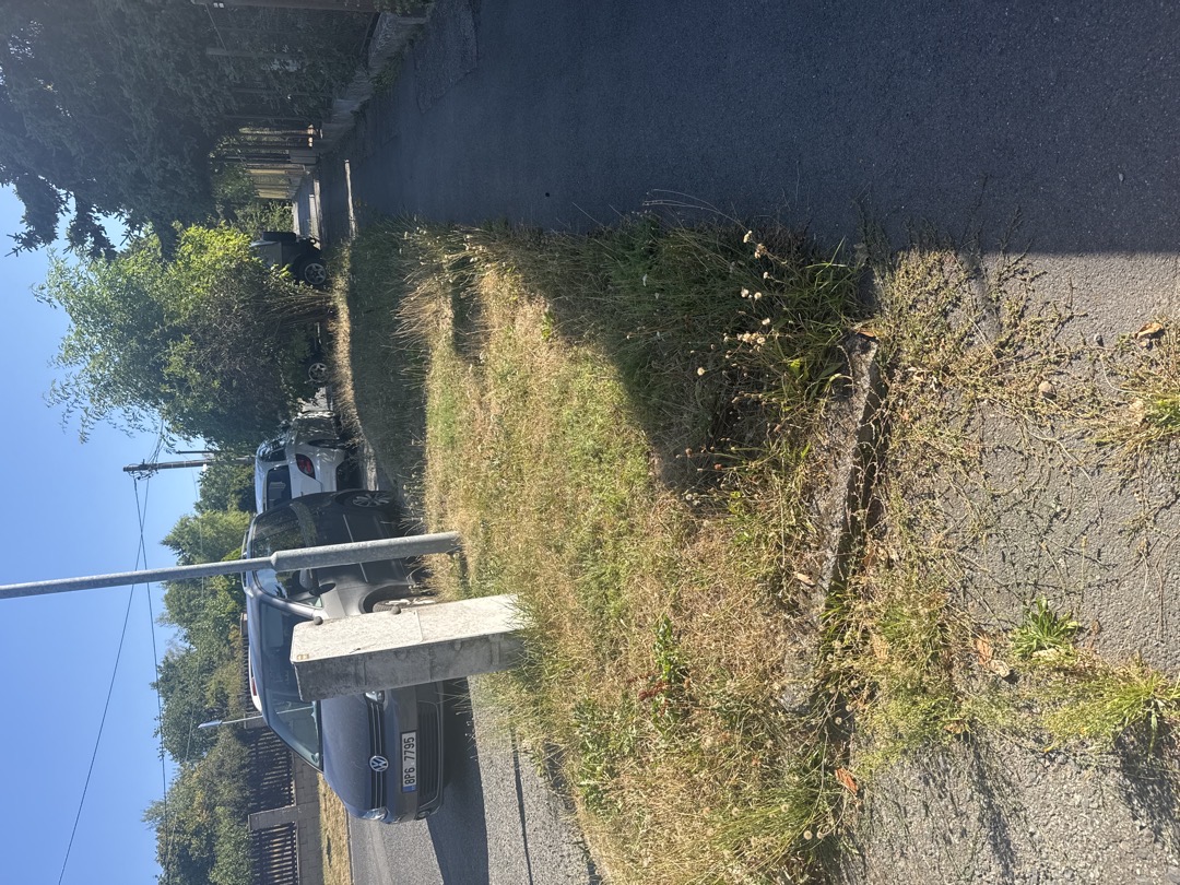 Posekana trava