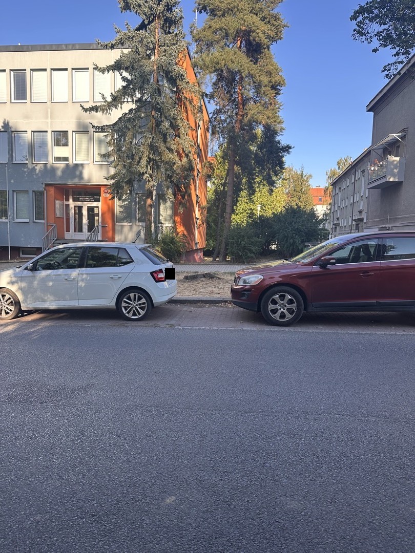 Vykácené stromy
