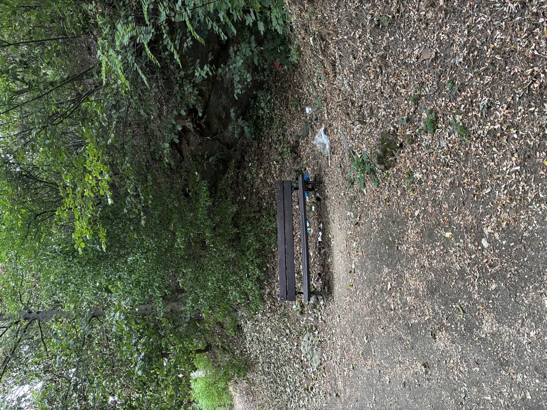 nepořádek u laviček 