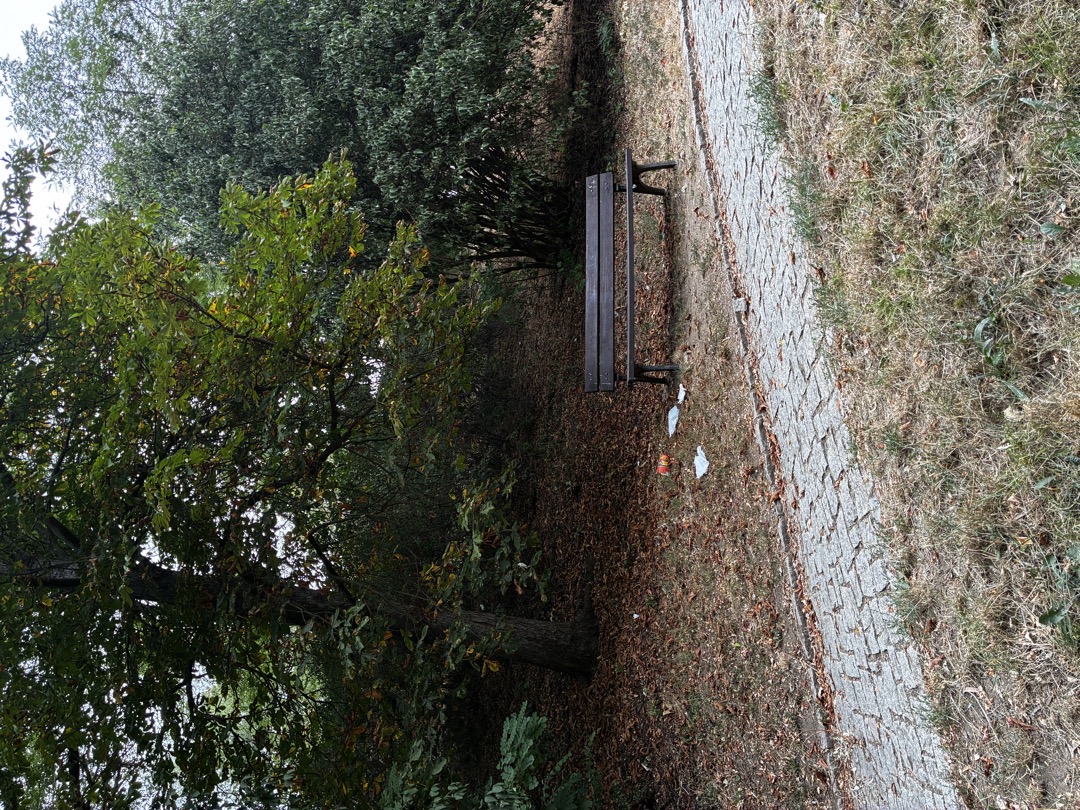 Fotografie nahlášení