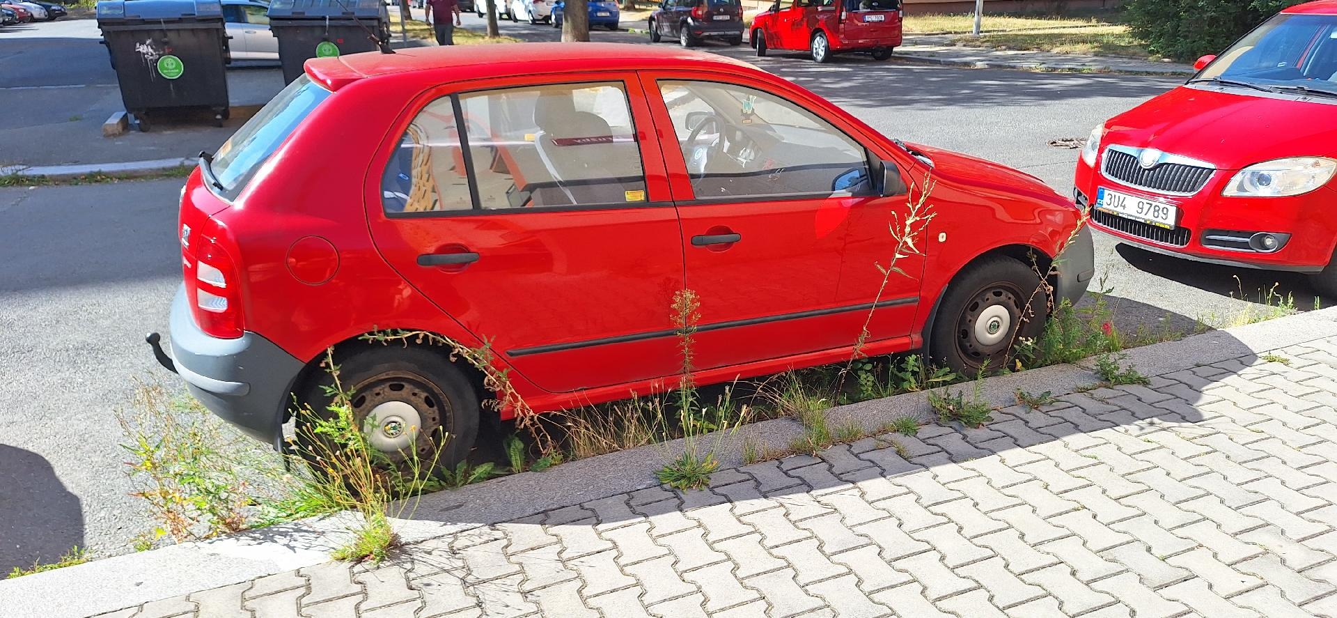Fotografie nahlášení