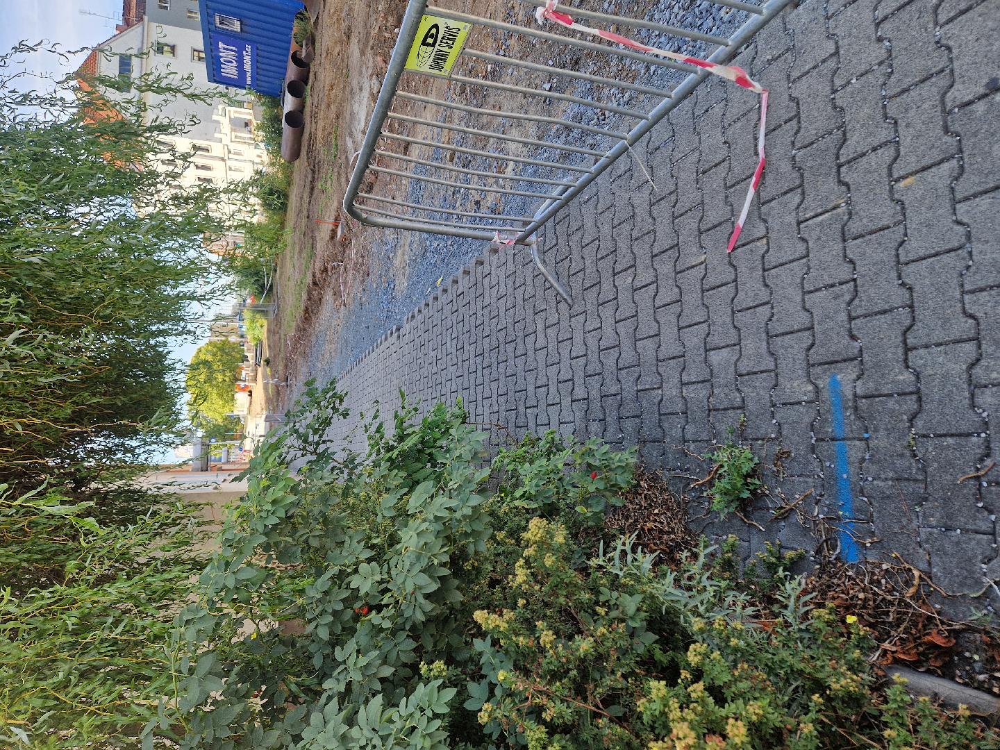 Zeleň v chodníku