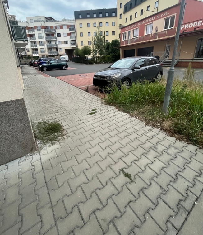 Kantování