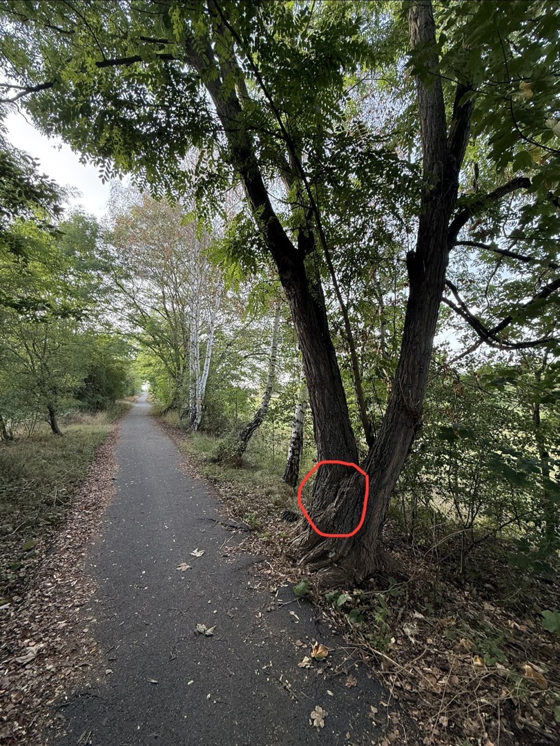 Fotografie nahlášení