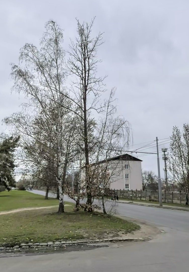 Omezený výhled na Lobezskou
