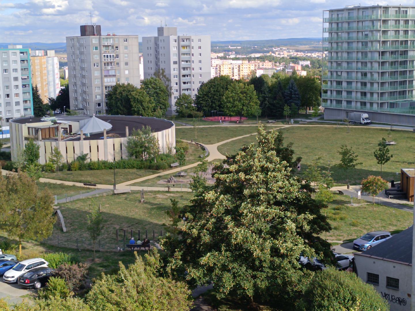 Zanedbaný trávník.