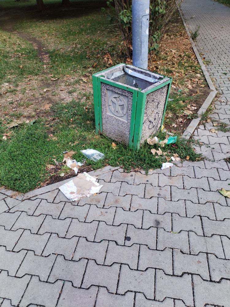 Nepořádek u koše