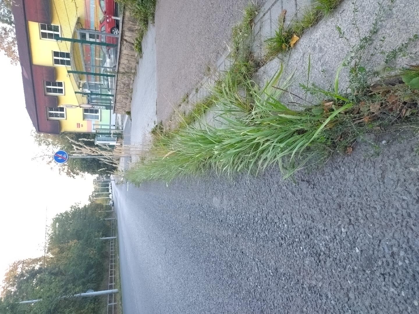 Zborovská - Doudlevecká