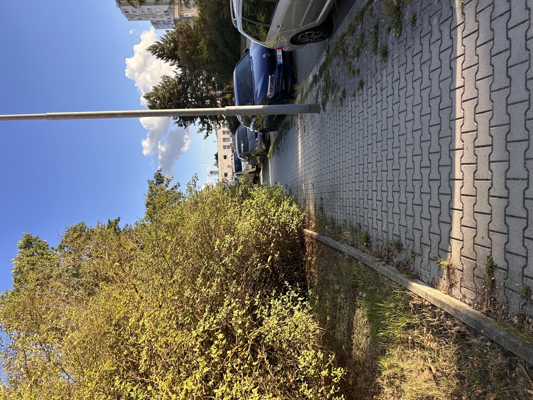 Fotografie nahlášení