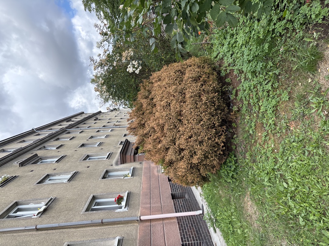 Fotografie nahlášení