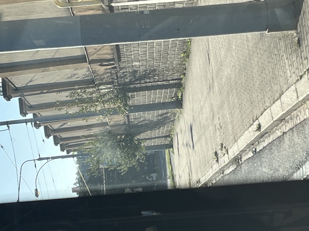 Fotografie nahlášení