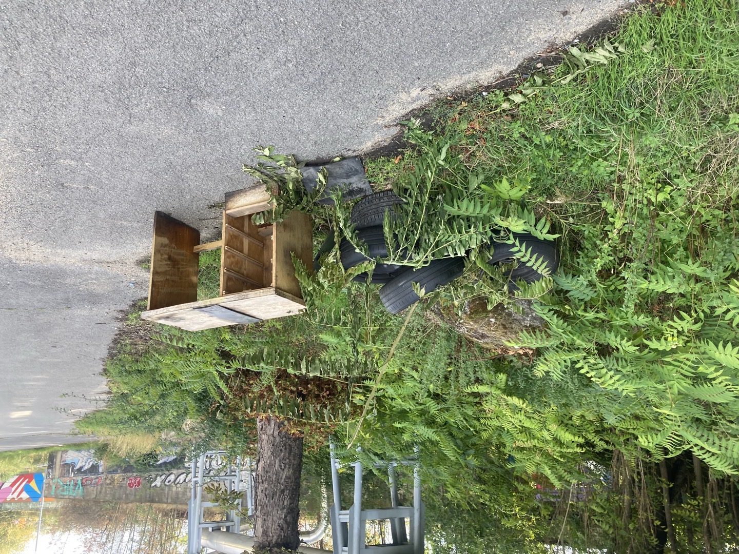 Fotografie nahlášení