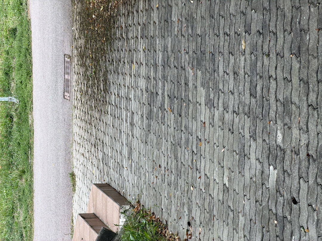 Fotografie nahlášení