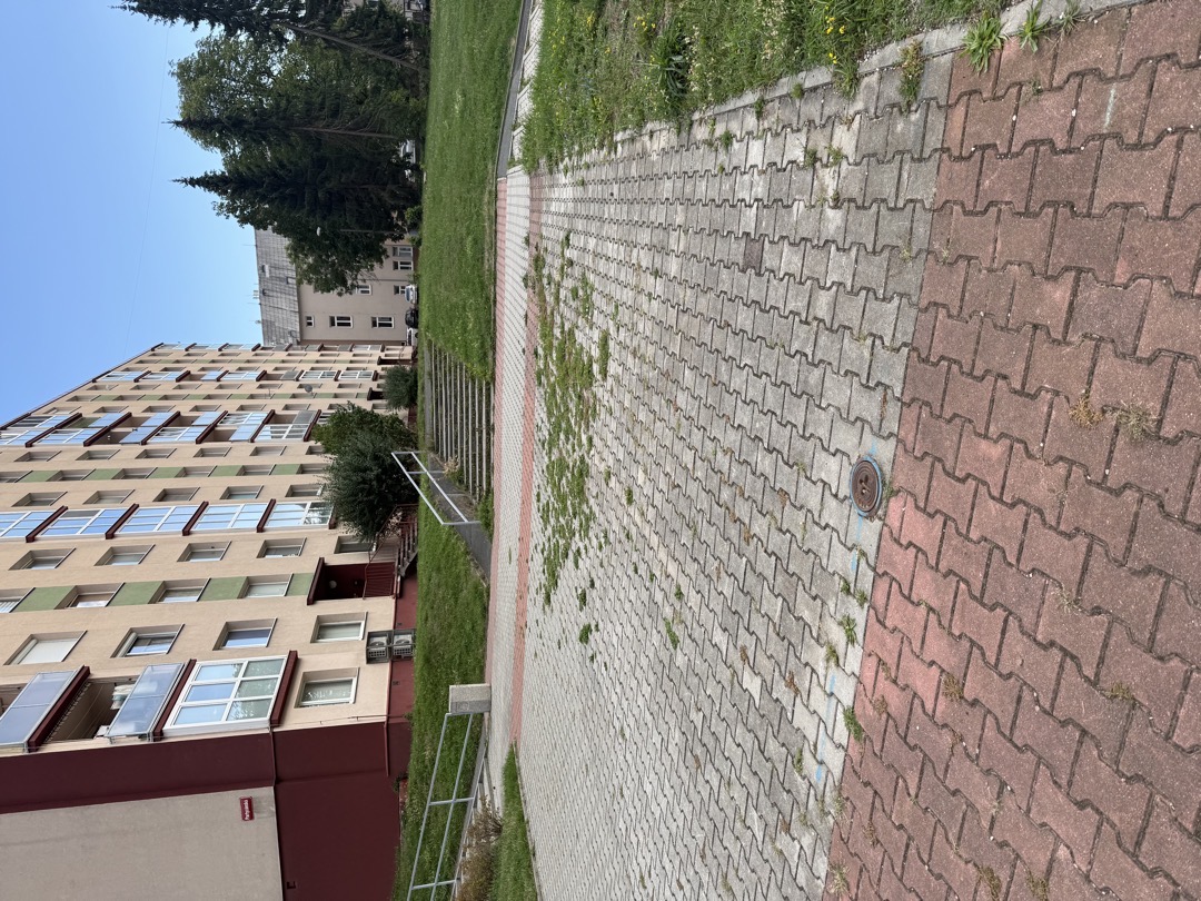 Plevel v ulicích 