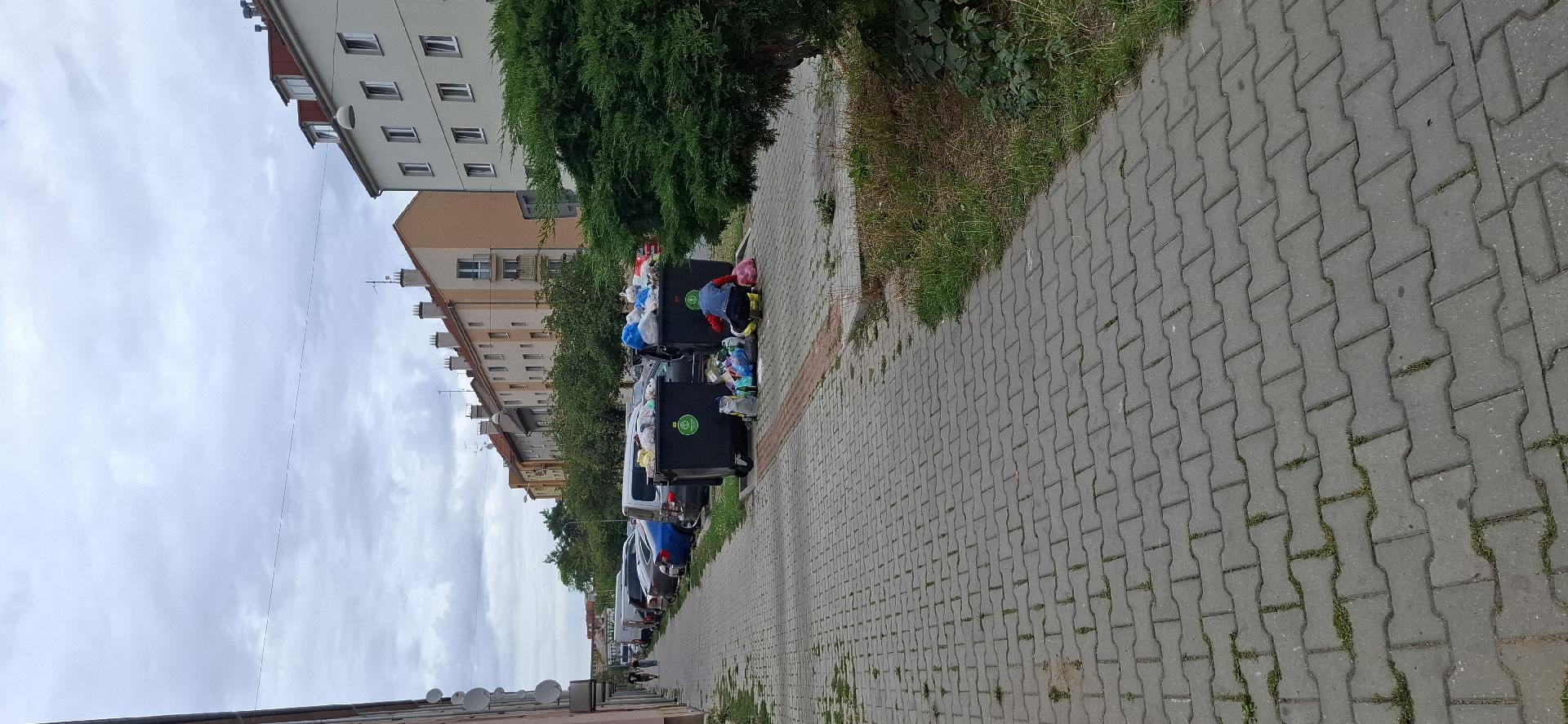 Přeplněné popelnice