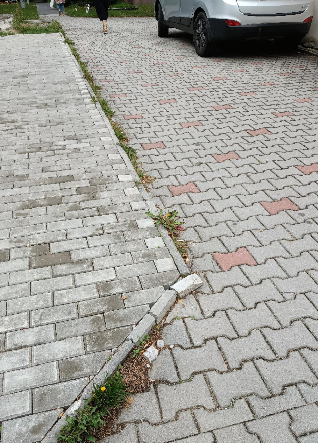Fotografie nahlášení