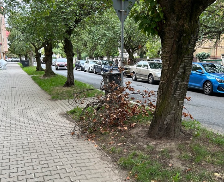Odstranění větve