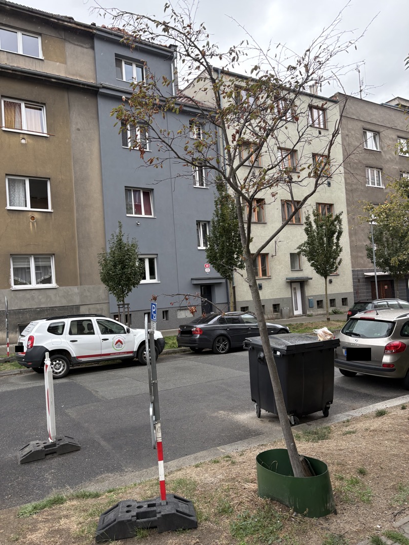 Uschlý strom