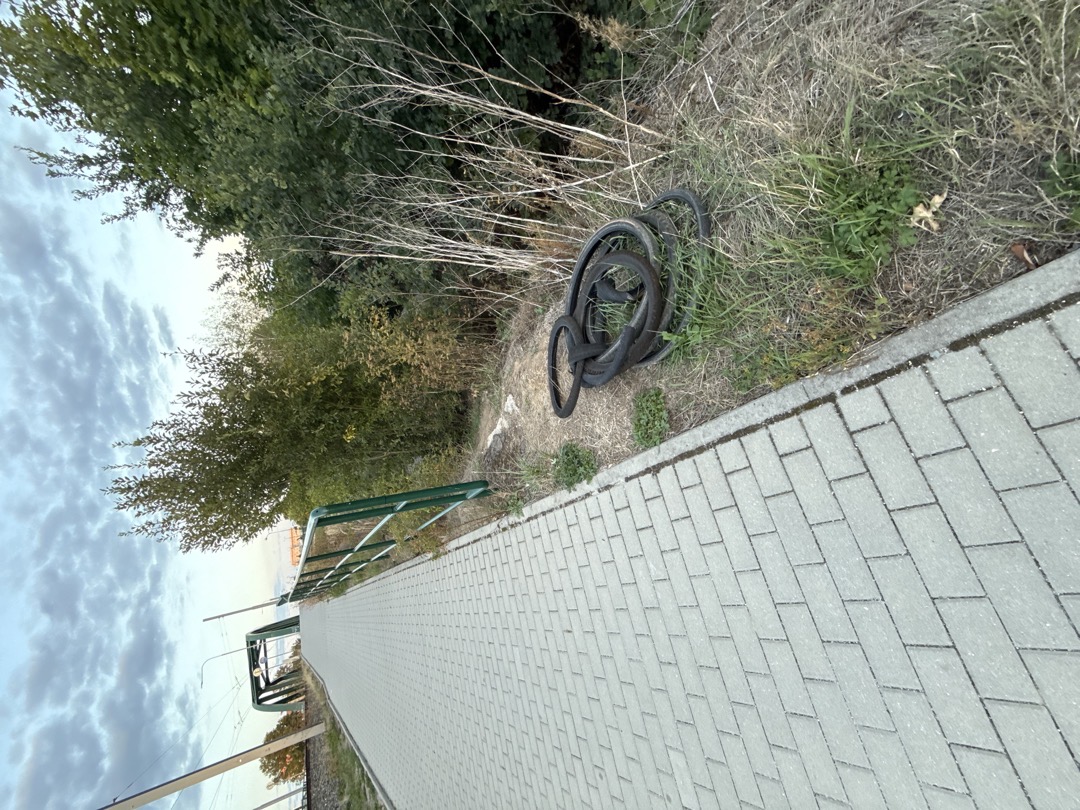 skládka
