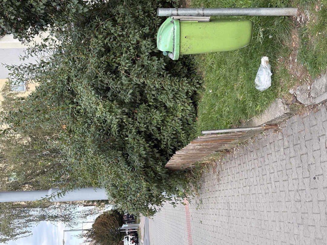 Fotografie nahlášení