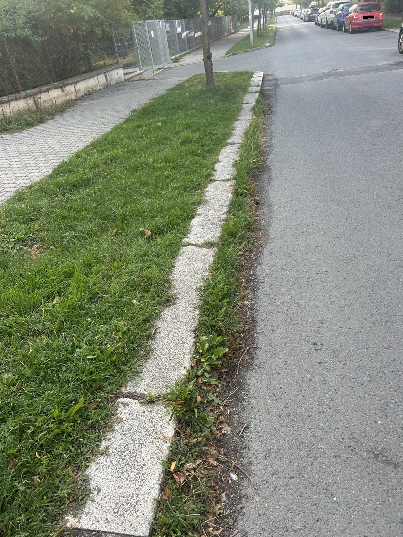 Zarostlá ulice