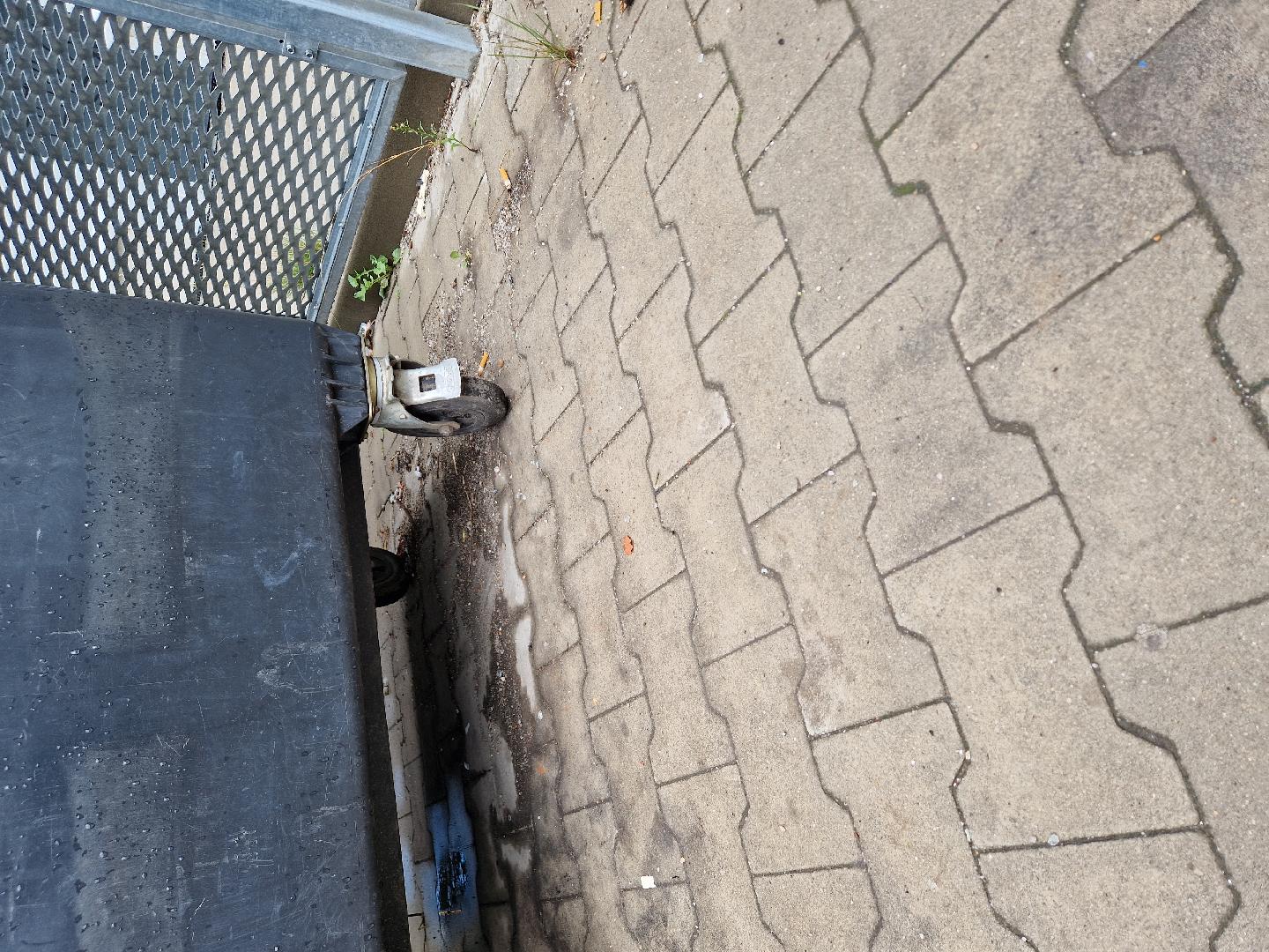 nepořádek u popelnic