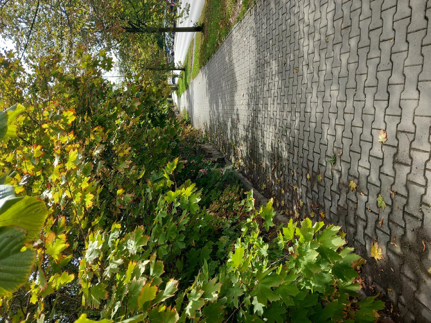 Fotografie nahlášení