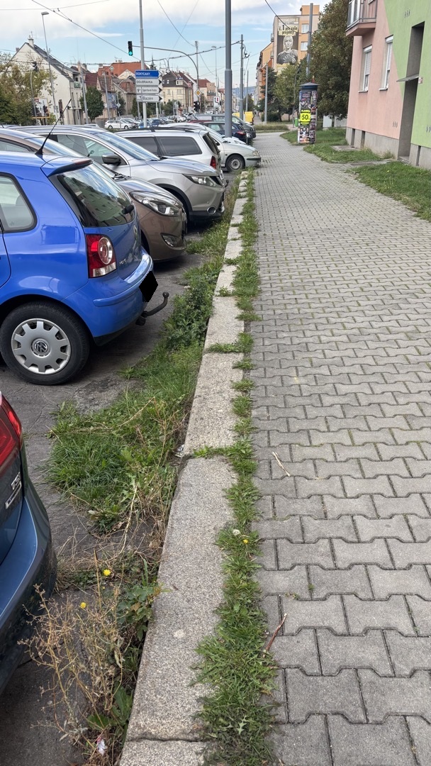 Zarostlý parkovací prostor