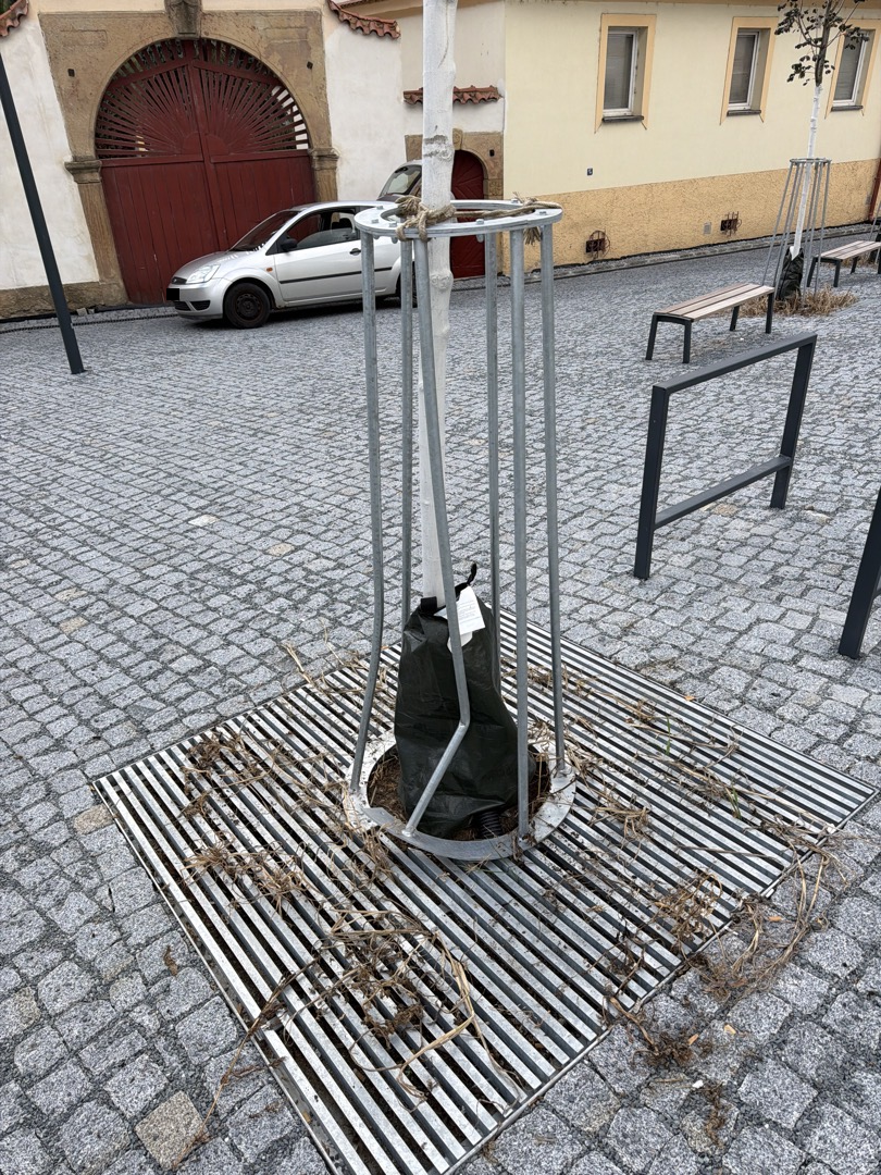Ochrana stromu