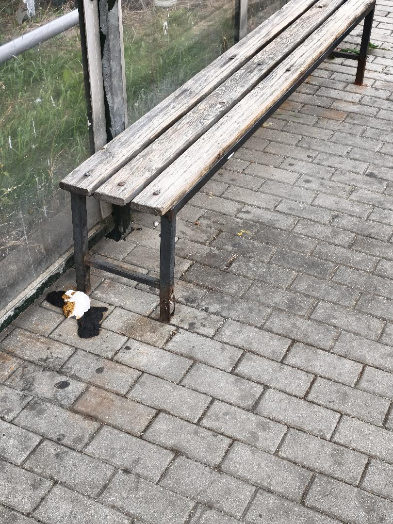 Pozvracená a pokálená zastávka