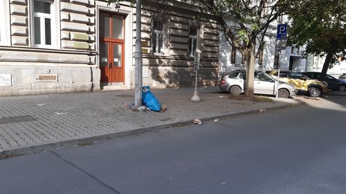 Fotografie nahlášení
