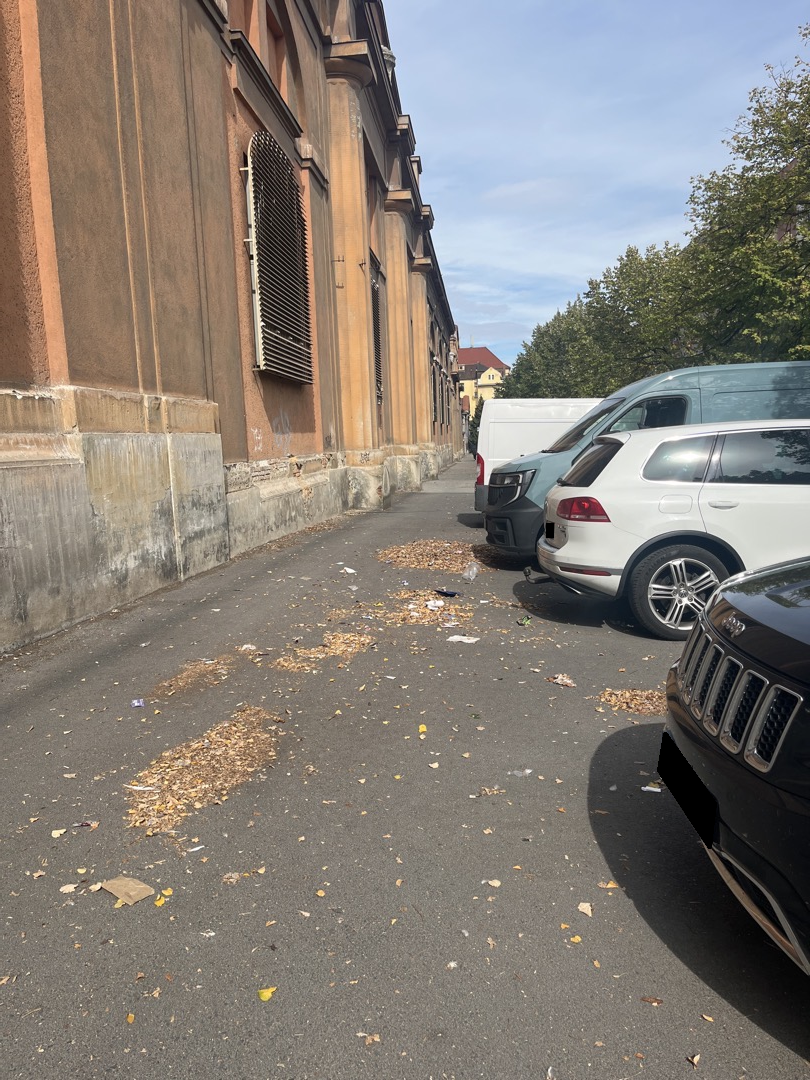 Rozfoukané odpadky