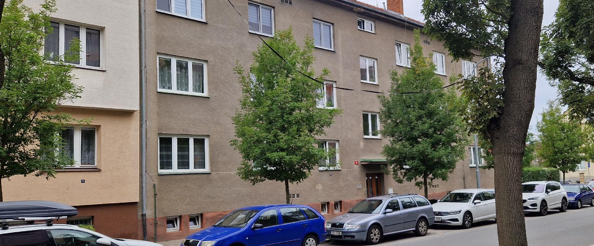 Páska na stromech