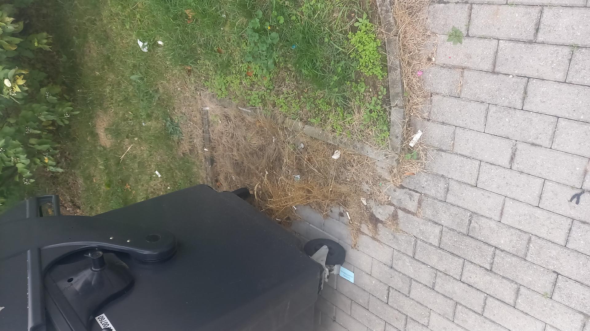 nepořádek u kontejneru