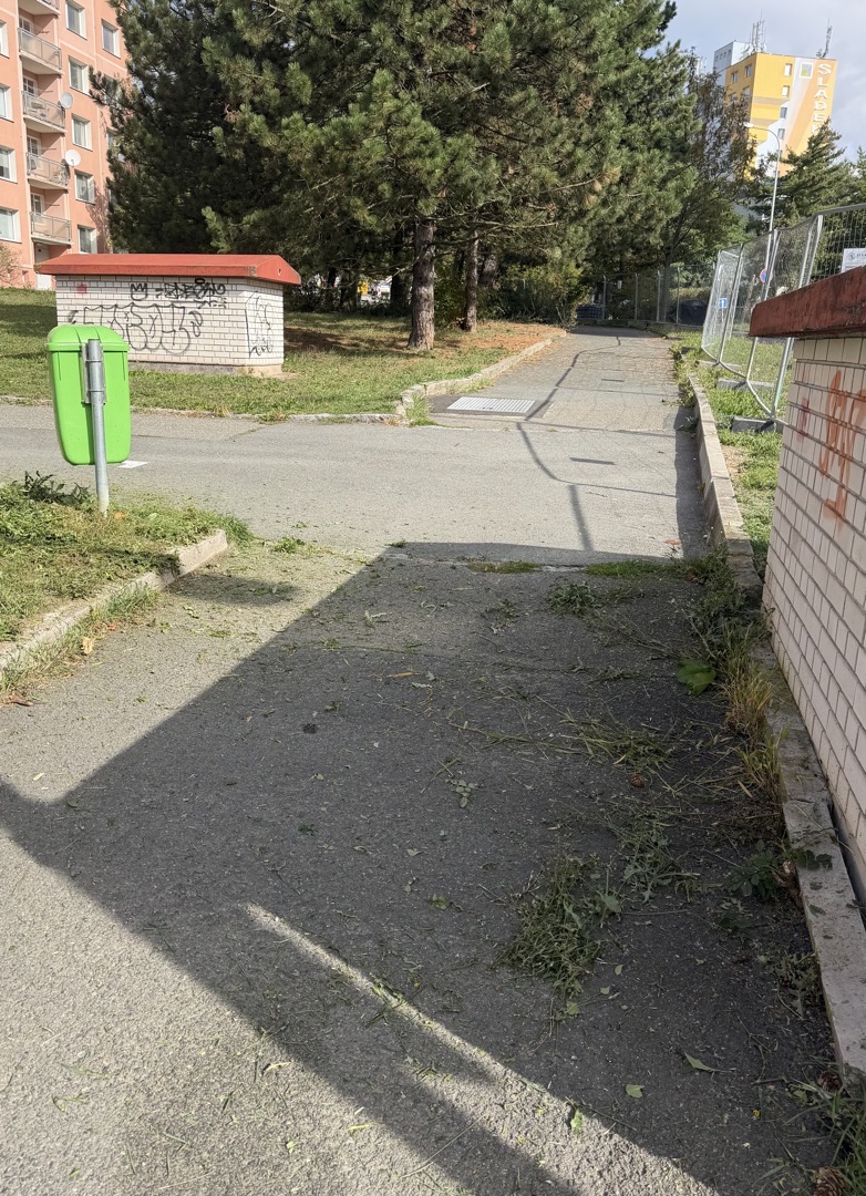 Neuklizeno po seči