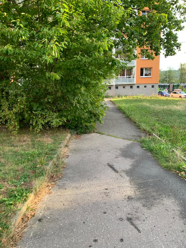 větve, tráva