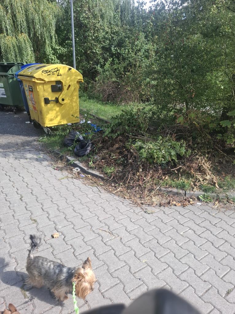 Nepořádek u popeln