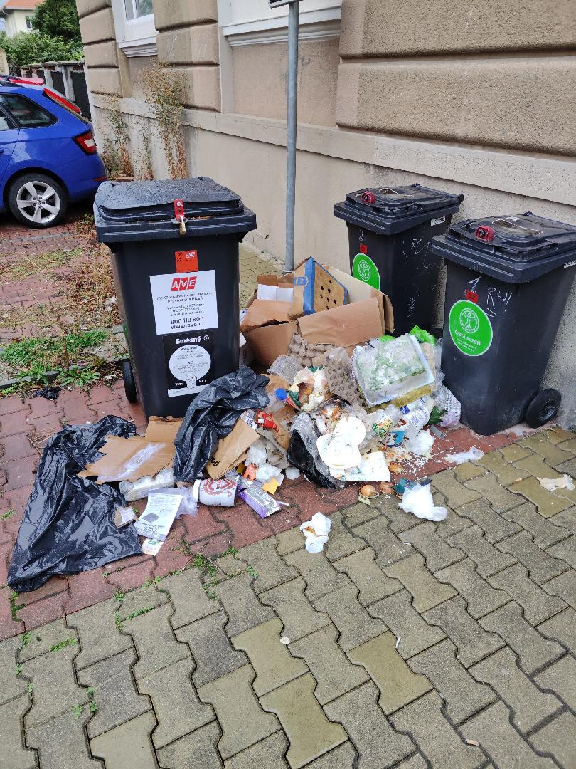 Odpadky kolem popelnic