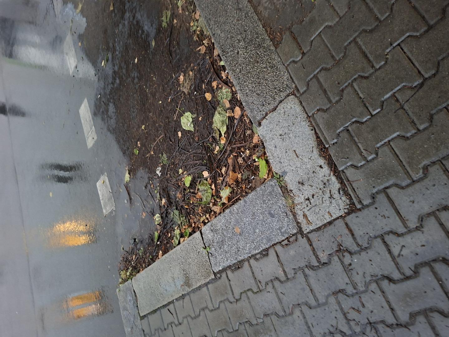 Ucpaný kanál