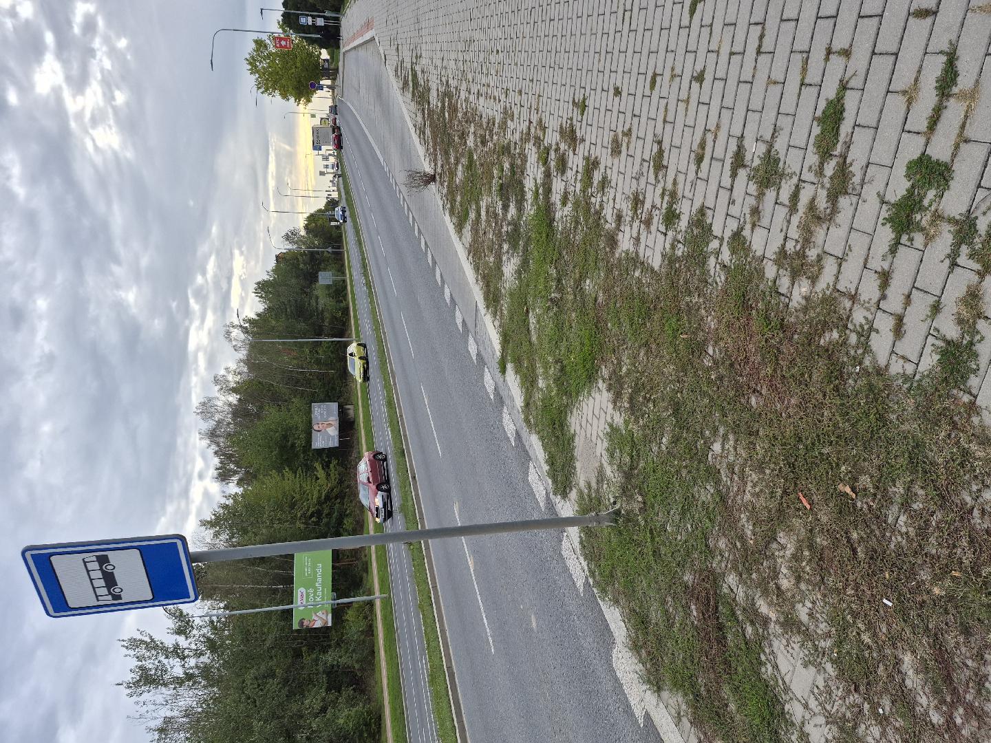 Kantování