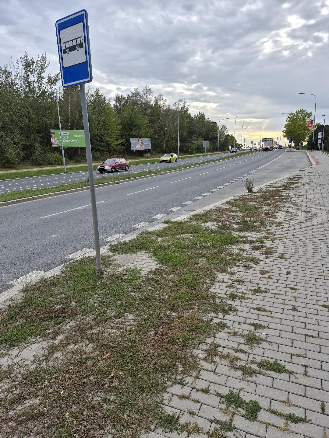 Kantování