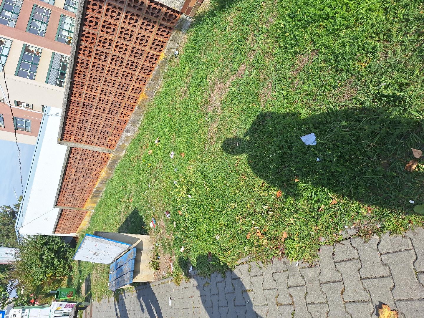 Nepořádek