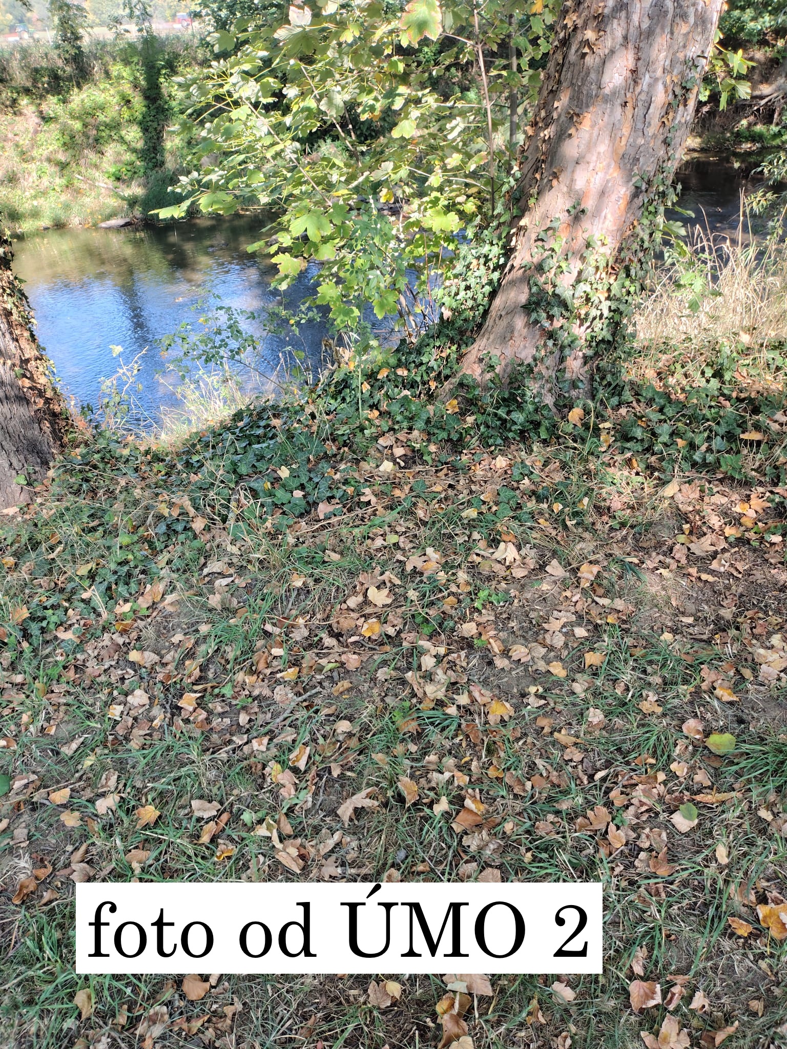Vyhozené odpadky u řeky