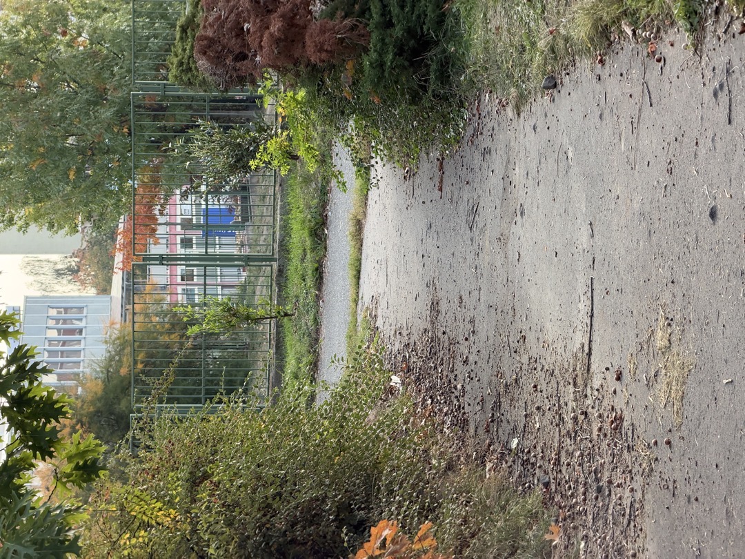 Neuklizený chodník
