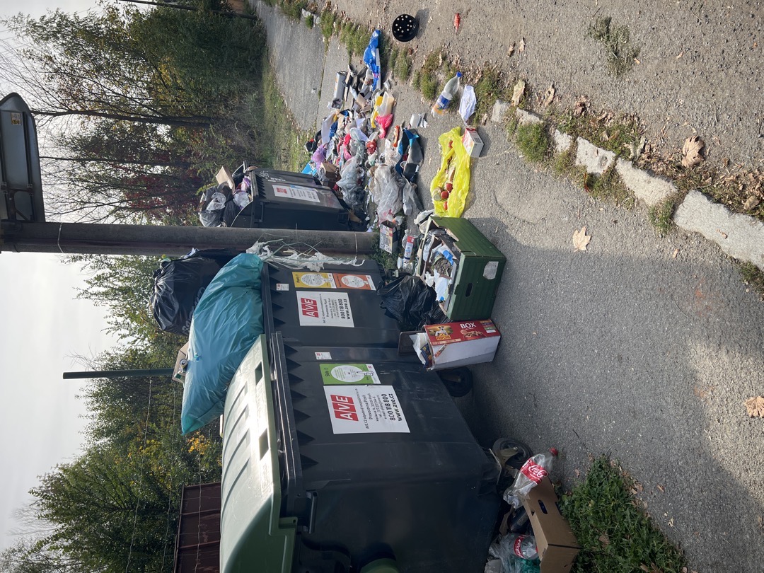 Nepořádek kolem popelnic