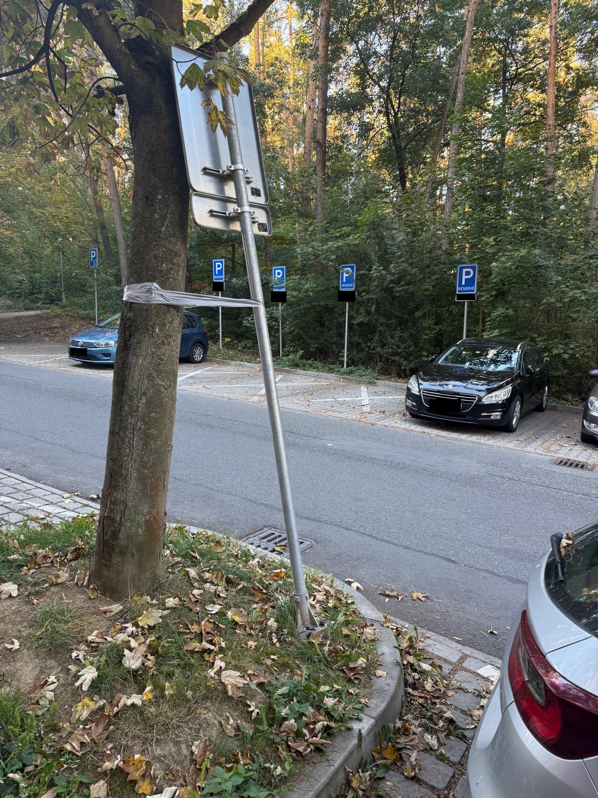 Poškozená DZ
