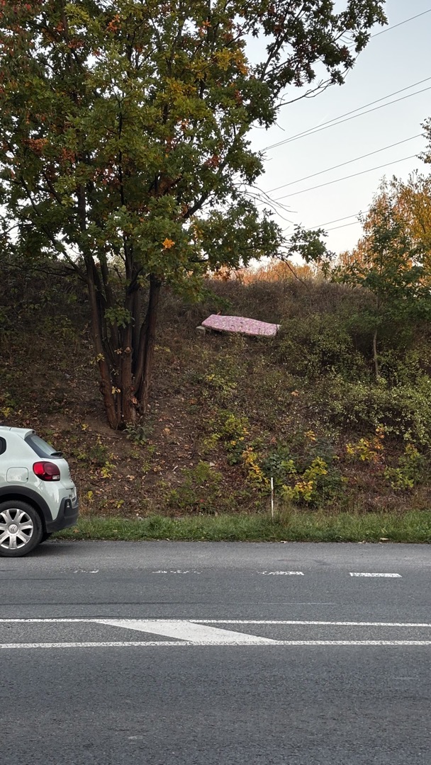 Nepořadek u Košutky