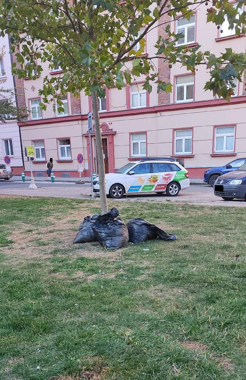 Odpadky na zeleni