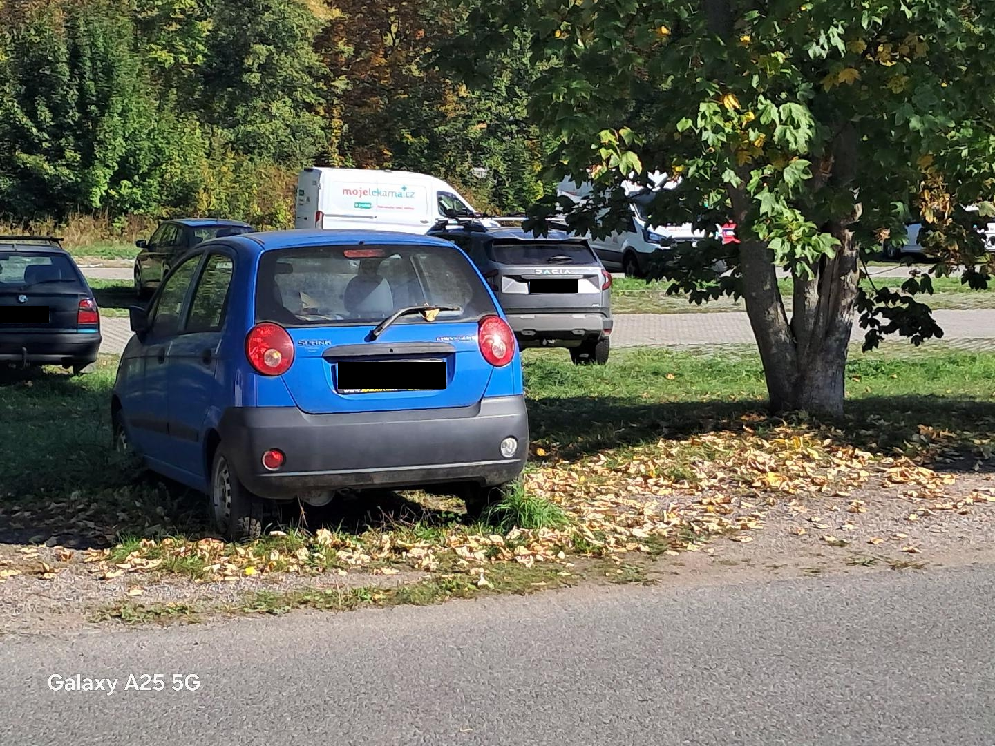 Parkování na zelené ploše