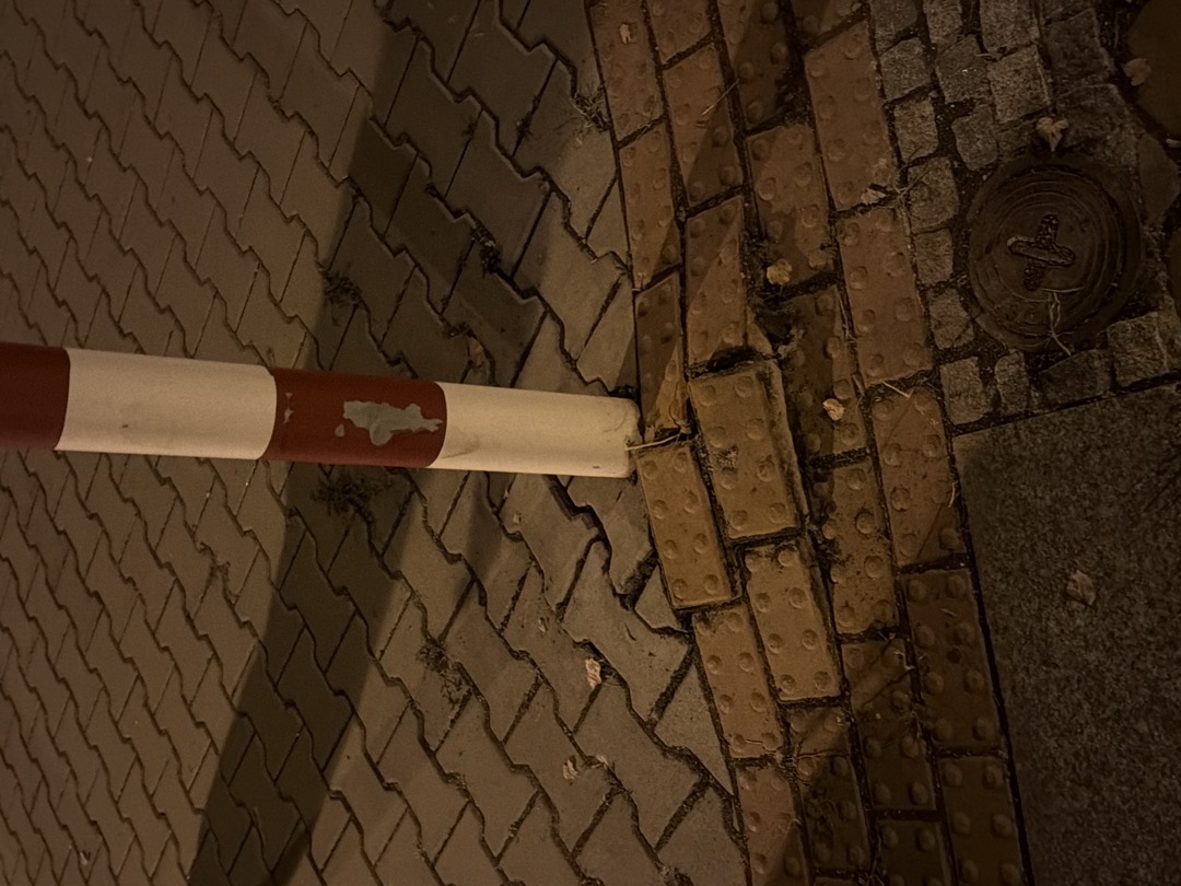 Fotografie nahlášení